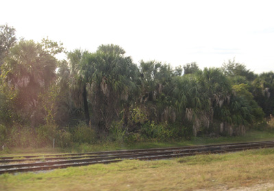Amtrak Florida, Charleston 2009
